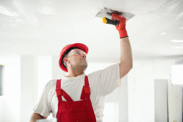 Best Eco-Friendly and Low-VOC Painting  in North Liberty, IA