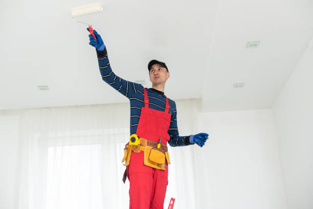 Best Drywall Sanding and Smoothing  in North Liberty, IA