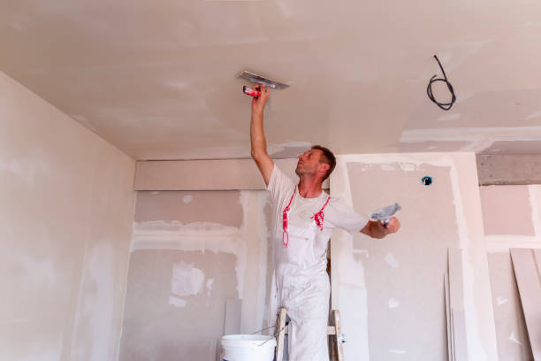 Eco-Friendly and Low-VOC Painting in North Liberty, IA