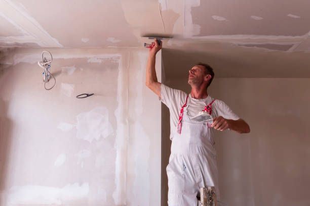 Best Drywall Removal and Disposal  in North Liberty, IA